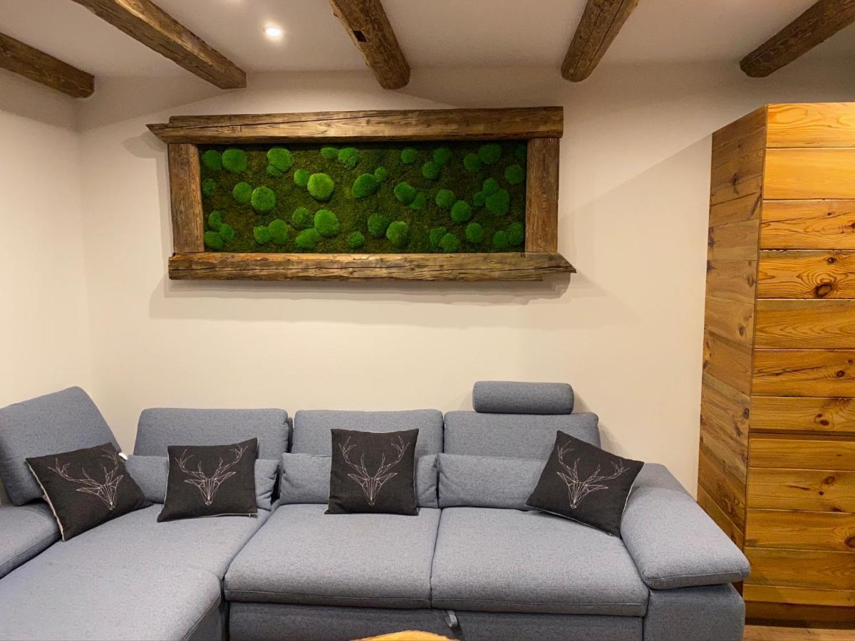 Chalet Apartments Mastal Železná Ruda Eksteriør bilde